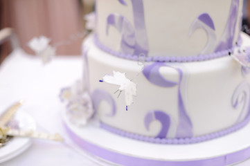 Butterfly on Wedding Cake