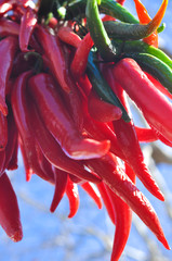 Pimientos