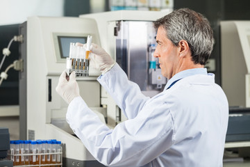 Researcher Analyzing Urine Samples In Lab