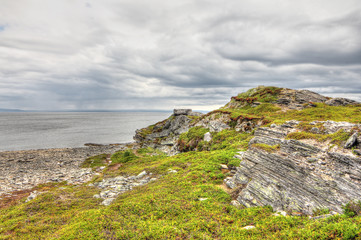 Naklejka premium Northern Norwegian landscape