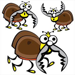 stags beetles isolated on white background