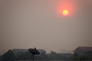 Morning sun and satellite dish