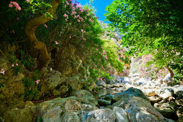 in the bottom of Kourtaliotiko gorge