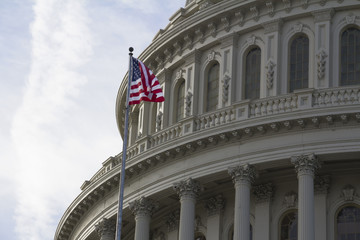 US Capitol Building, Washington DC