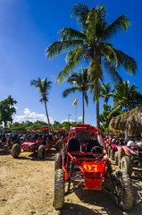 Muddy buggy standing on sand surrounded by exotic palm trees