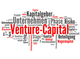 Venture-Capital (Beteiligung, Risikokapital)