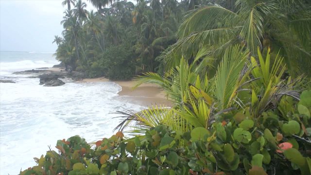 caribbean wild beach