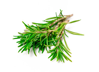 Rosemary isolated on white background