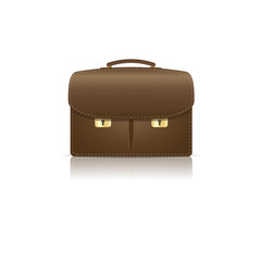 Isolated  brown leather briefcase made from  crocodile skin
