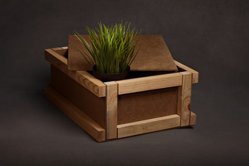 grass in a box