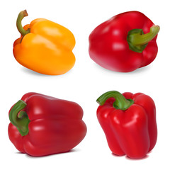 Photo-realistic vector. Set of Sweet Peppers