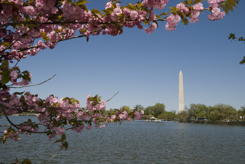 Washington Monument in spring