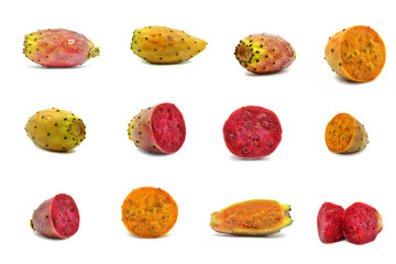 prickly pear