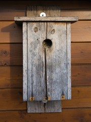 Birdhouse hanging on the wooden wall