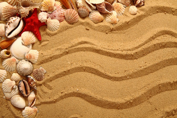 Fototapeta na wymiar piasek i muszle jako bardzo ładne tło