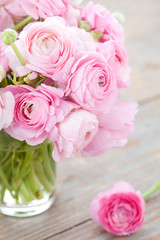 White and pink ranunculus (buttercup) in vase