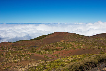 Landschaft im Nationalpark Teide 3 -  Teneriffa