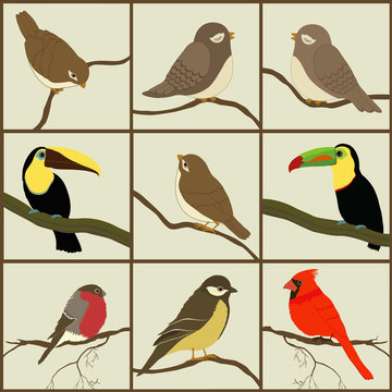 Set of birds
