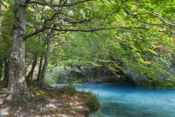 Fototapeta premium Pond with clear blue water in the forest.