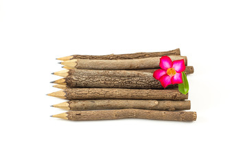 bunch of pencils stylized tree branch