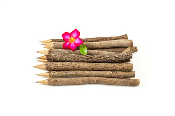 bunch of pencils stylized tree branch