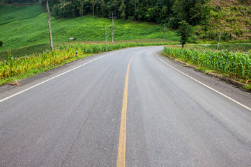 Road in corn fields in northern Thailand