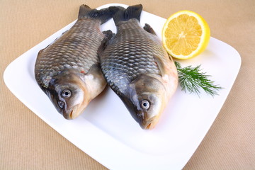 Two fresh carp on white plate with lemon
