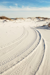 Tire Tracks in the Beach Sand Dunes - 61180037