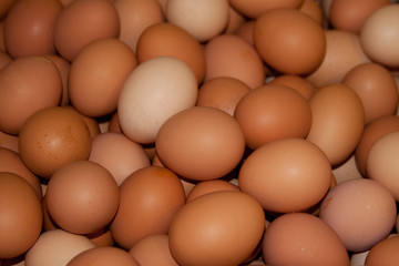 Farm fresh eggs