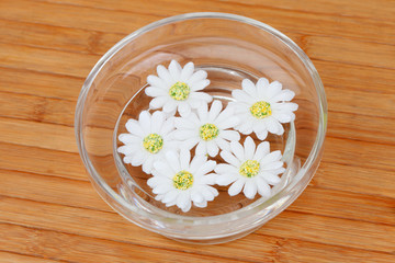 Obraz na płótnie Canvas Beautiful flowers in a bowl with water