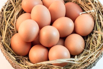 Brown Eggs on white background