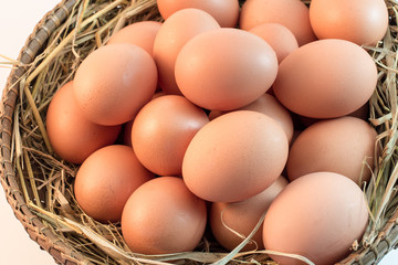 Brown Eggs on white background