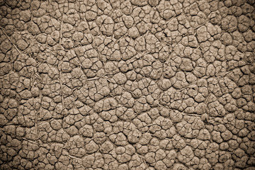 Naklejka premium leather texture / skin texture