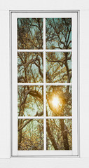 Golden Forest  Branches White 8 Windowpane View