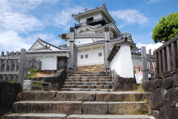 Fototapeta premium Kakegawa Castle