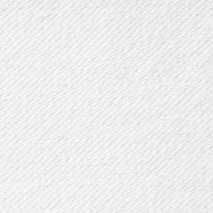 White canvas background