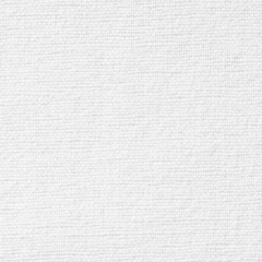 White canvas background