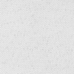 White canvas background