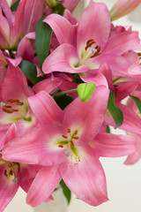 オリエンタルリリー