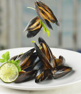 Mussels  With Garlic Sauce