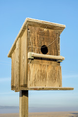 Birdhouse on a post cold winter morning