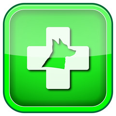 Veterinary icon