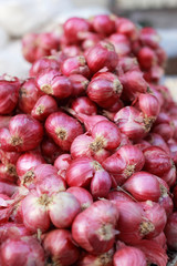 Shallot - asia red onion in market