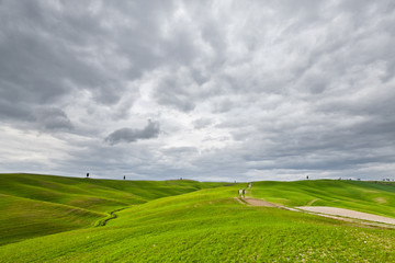 Fototapeta premium Campagna toscana con cipressi