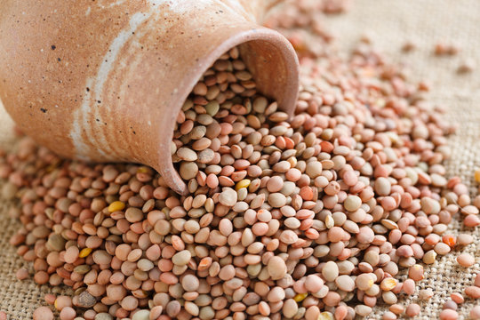 Castelluccio lentils from Umbria