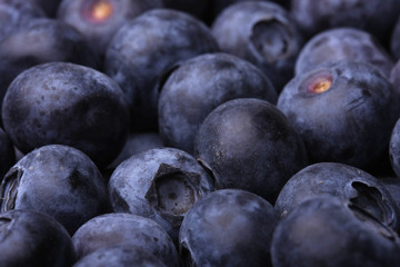 Blueberries