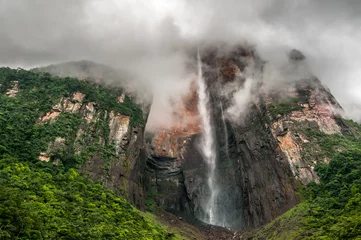 Foto op Canvas Angel Falls, the world's highest waterfall, Venezuela © javarman