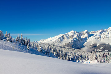 landscape of Paganella, Trento, Italy