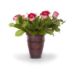 Red roses in ceramic pot