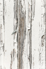Grungy white wooden wall with rough texture